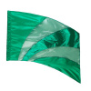 FL7714 GREEN Spectrum Flag